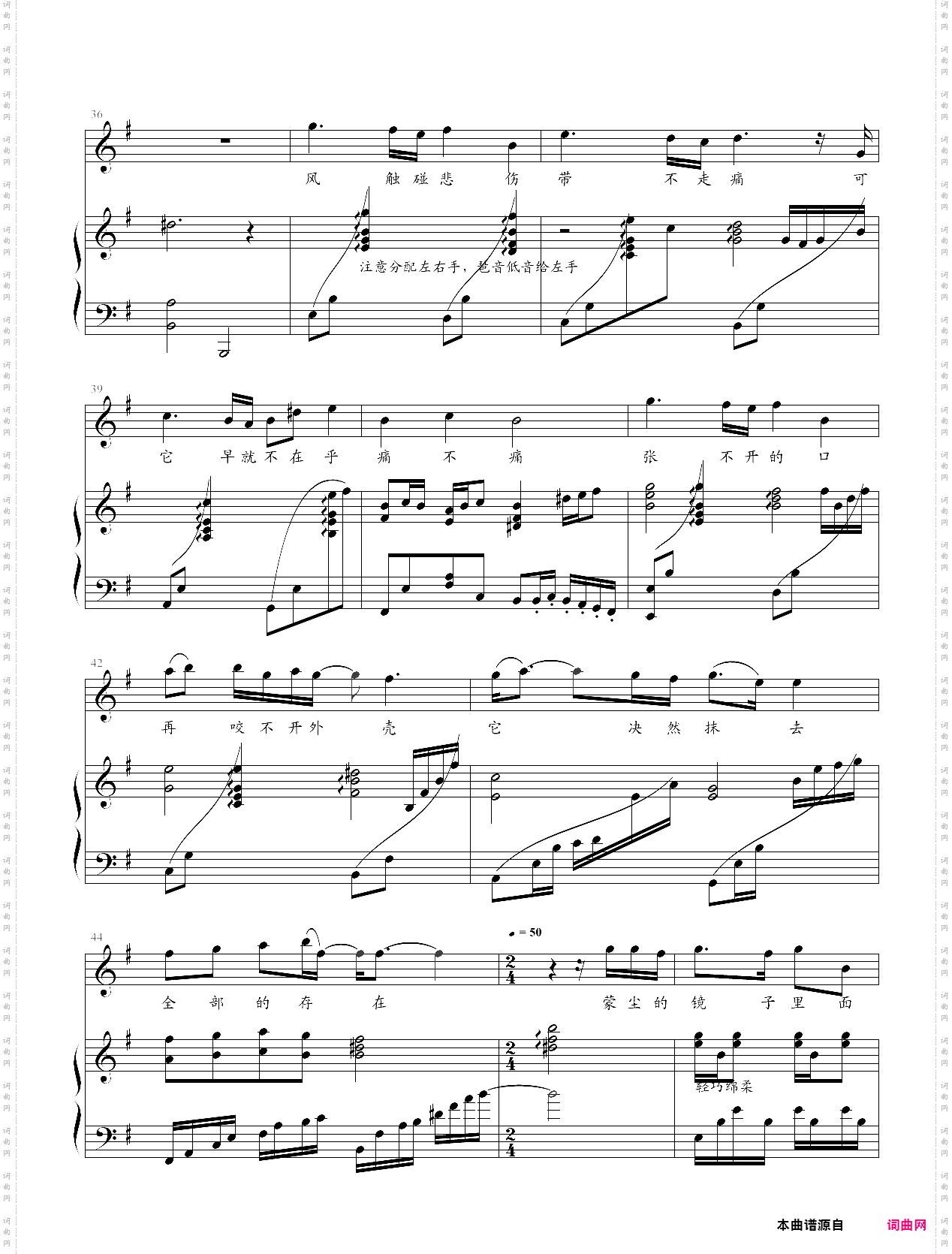 胡桃夹子-金龙鱼原声弹唱版