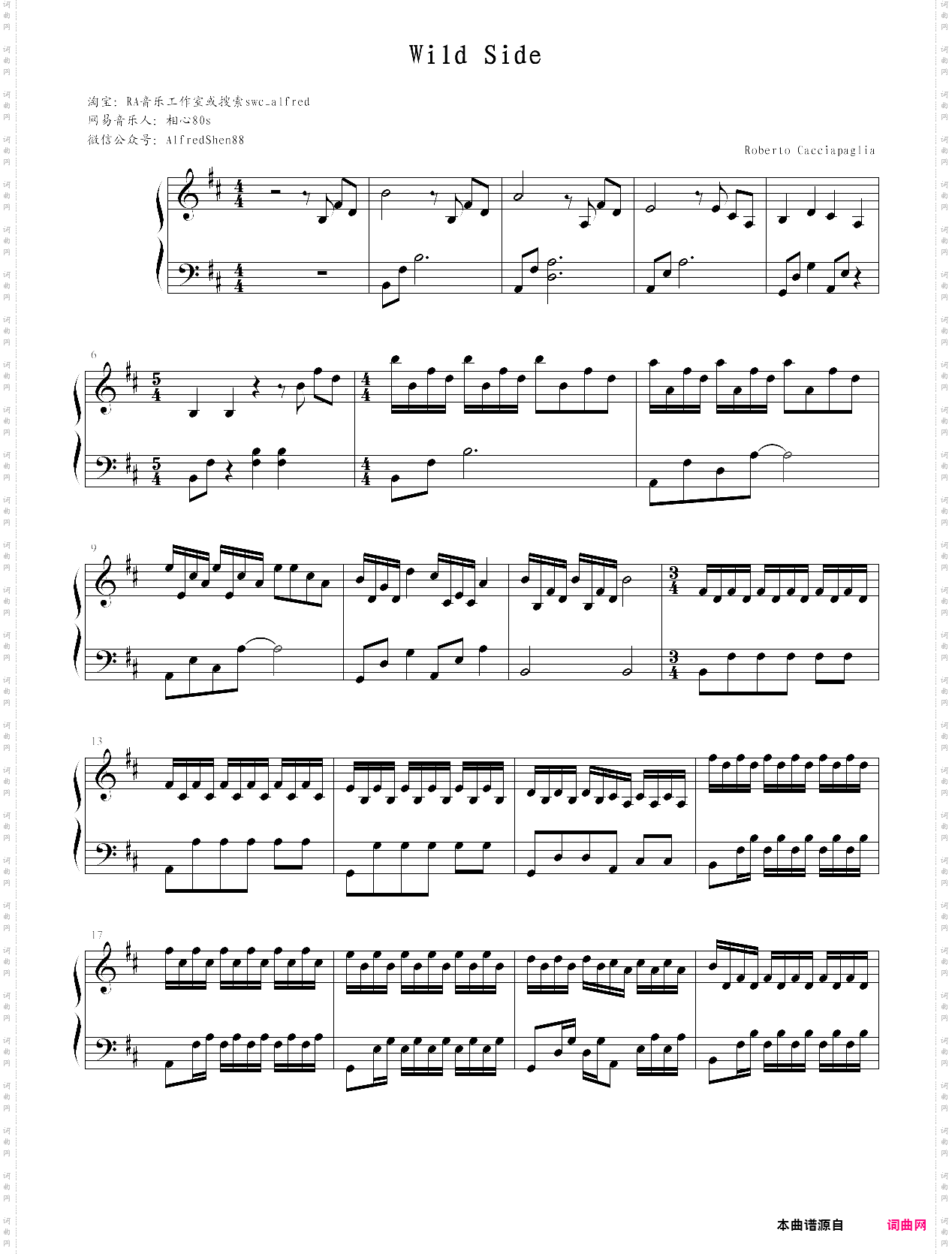 roberto cacciapaglia - wild side