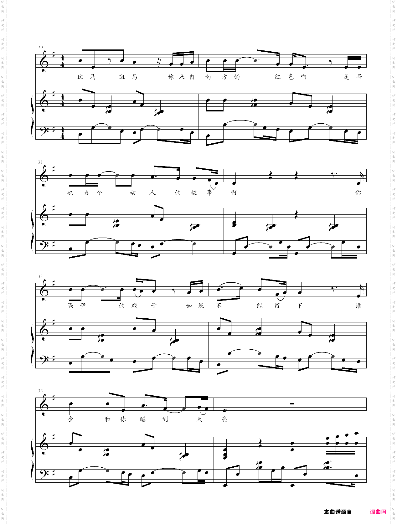 斑马斑马弹唱版