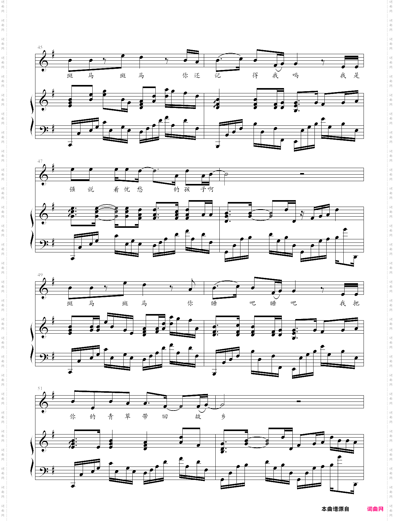 斑马斑马弹唱版