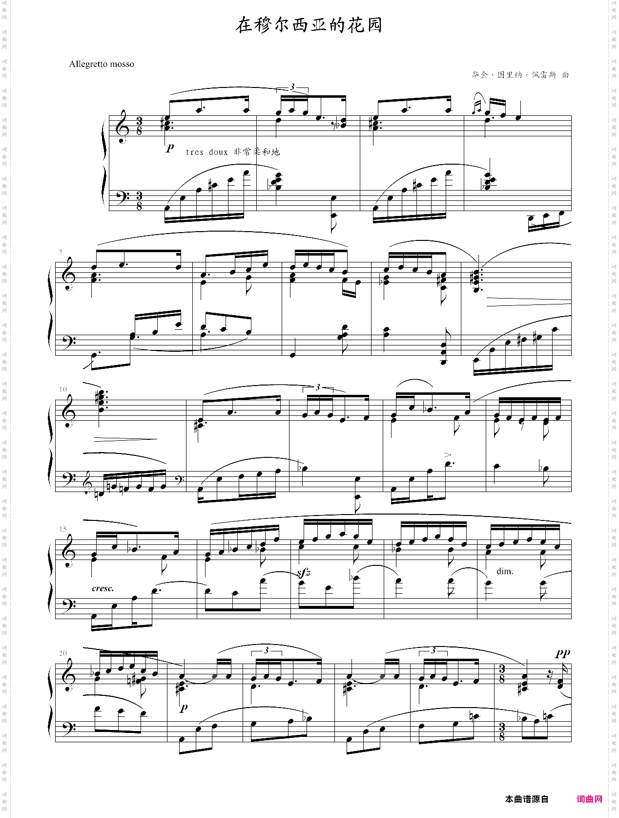 在穆尔西亚的花园