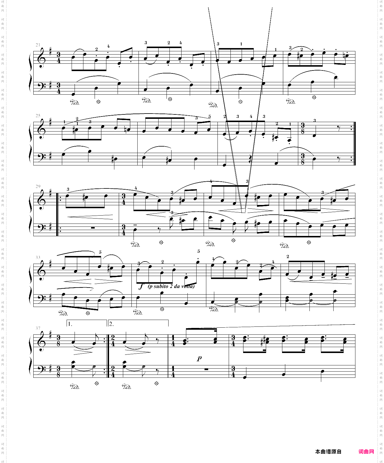g大调小步舞曲指法版