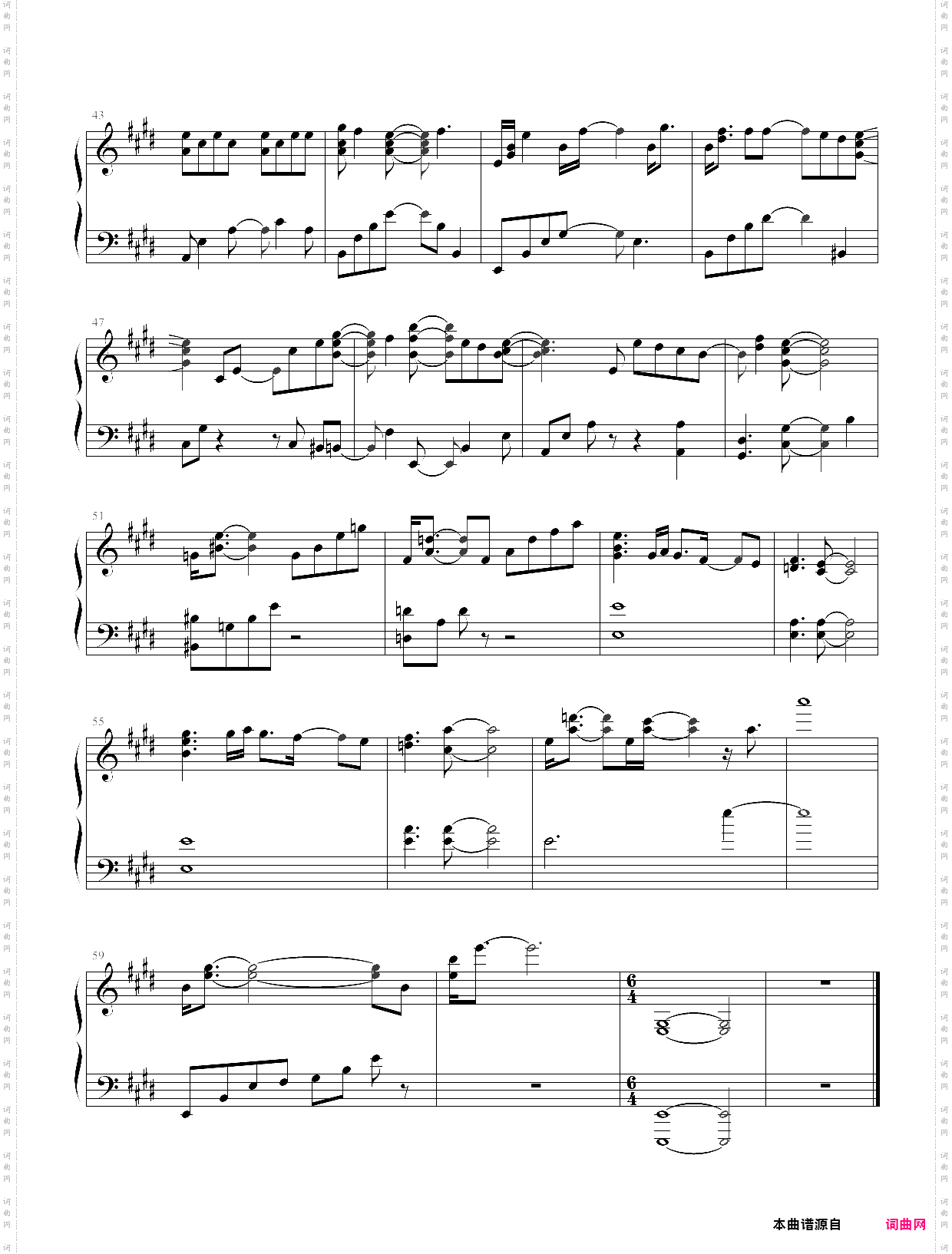 butterfly-数码宝贝op