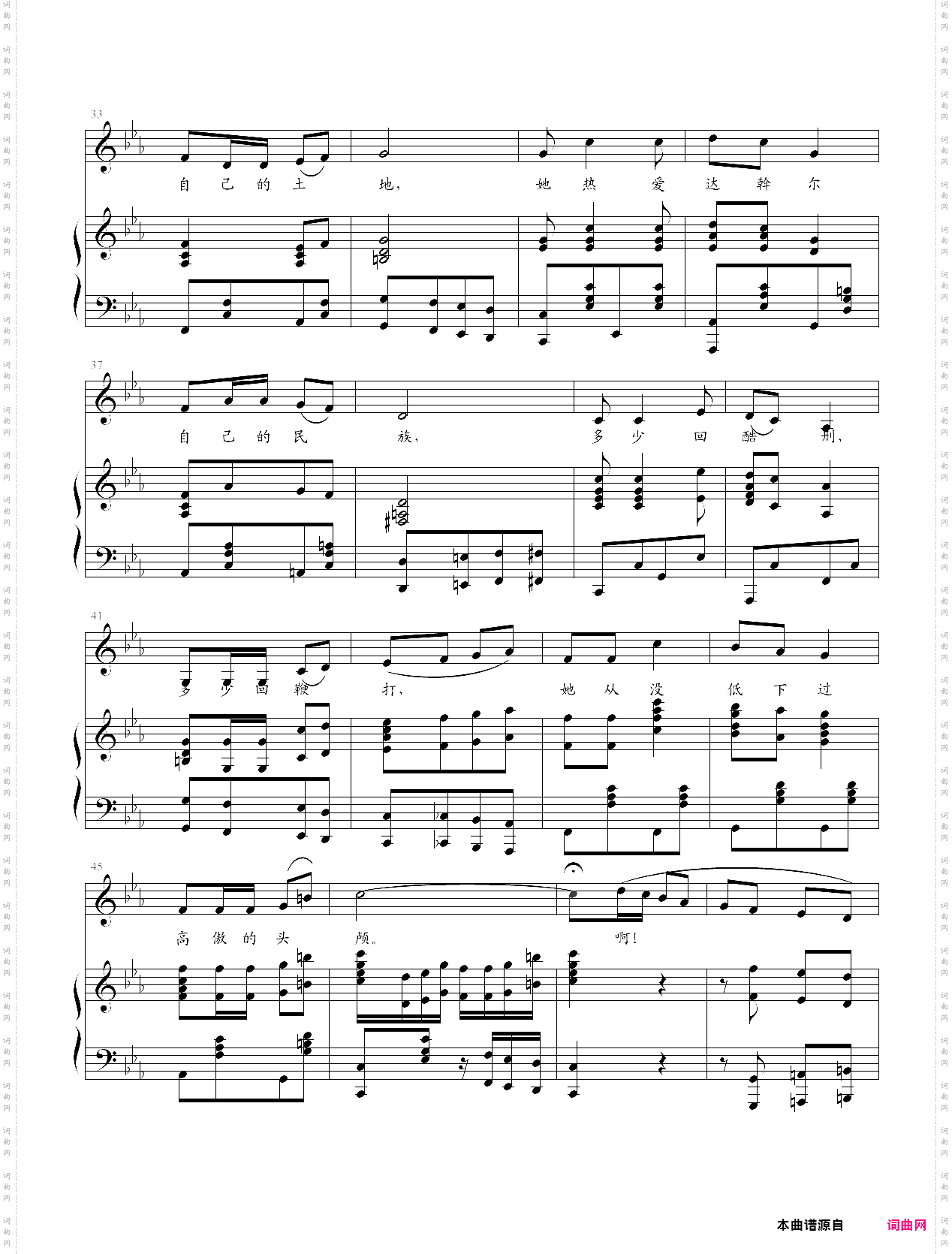 黑龙江岸边洁白的玫瑰花