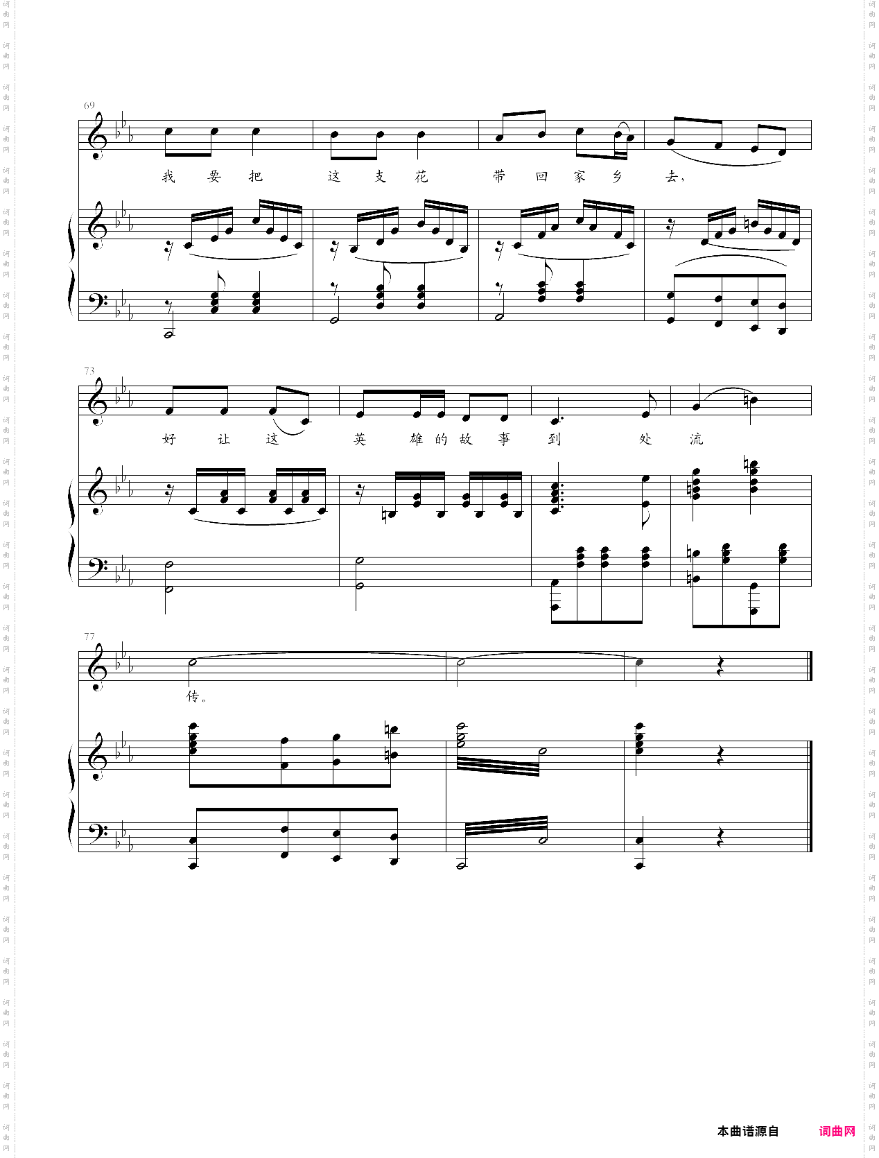 黑龙江岸边洁白的玫瑰花