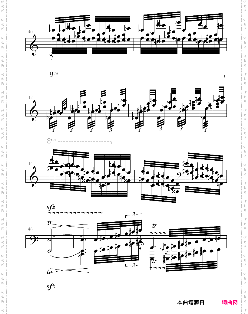 野蜂飞舞 要命版