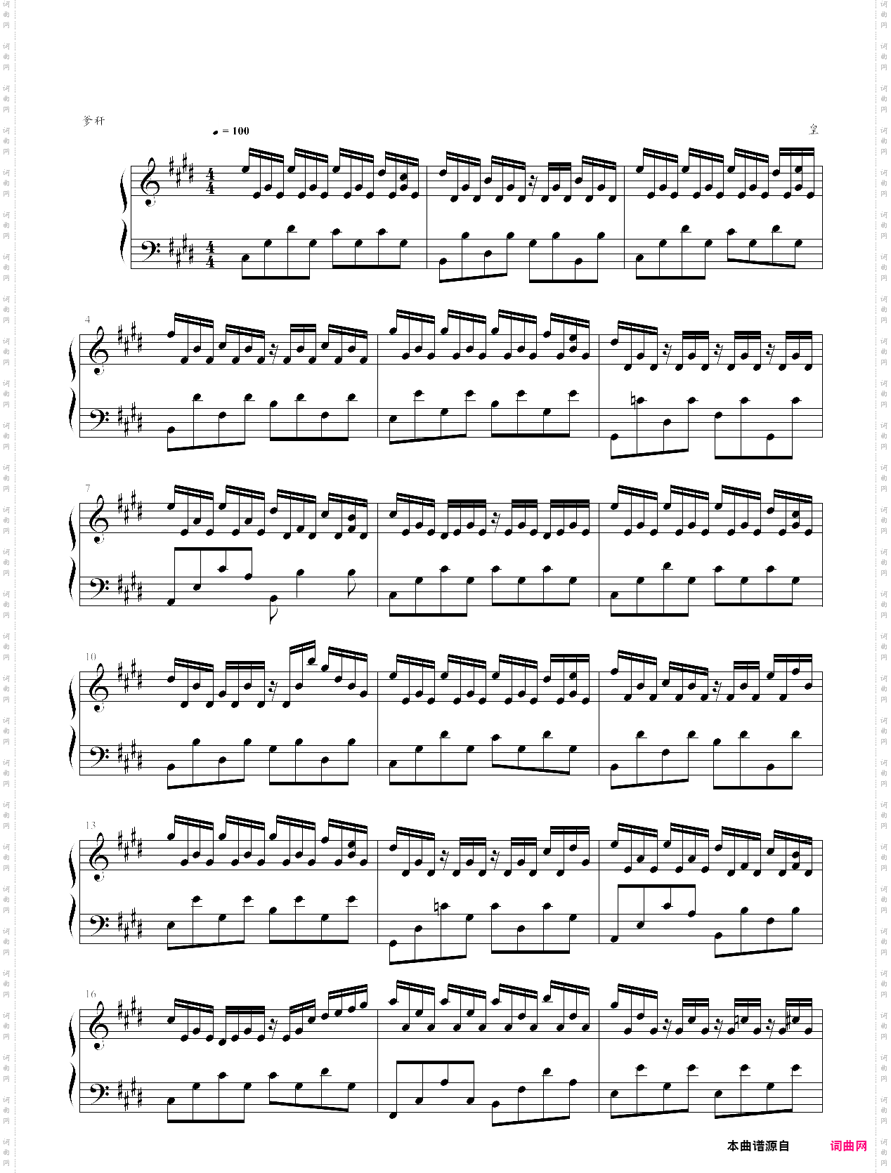 守候林海《猫》