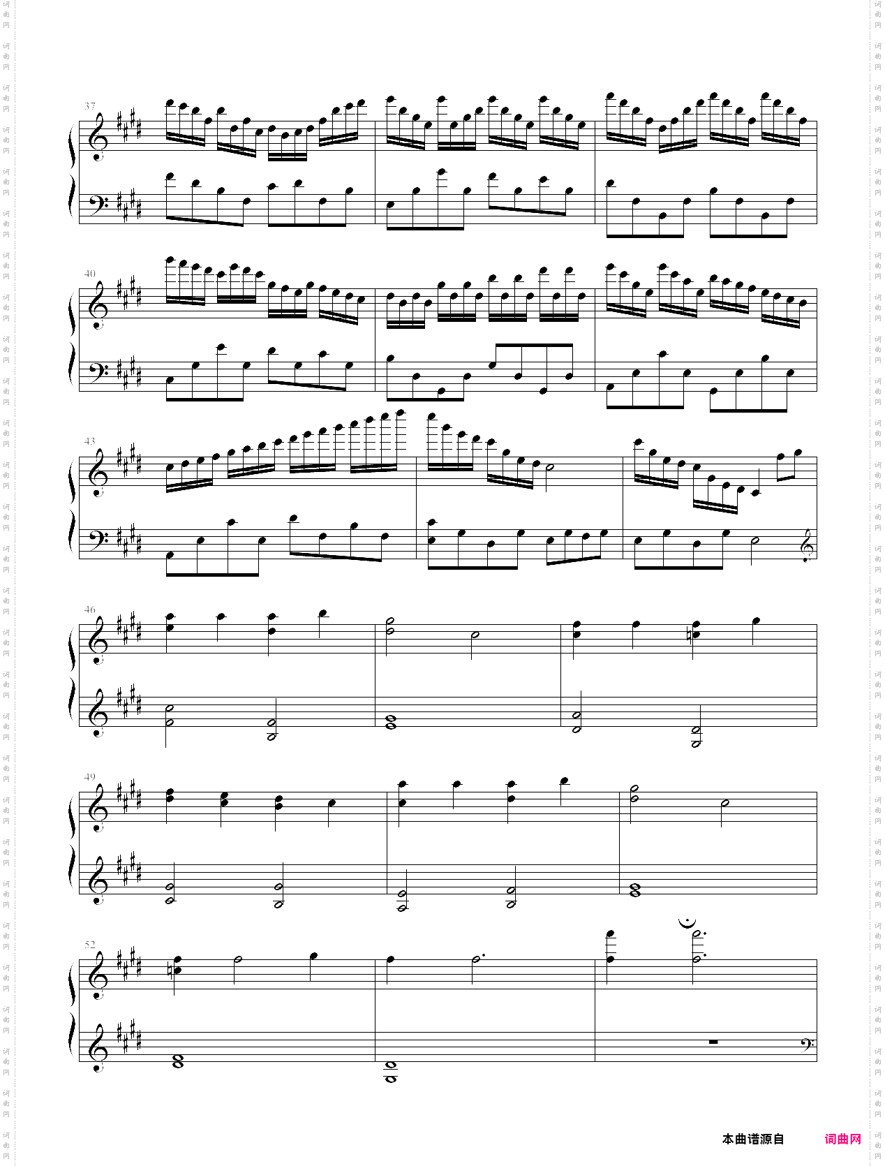 守候林海《猫》