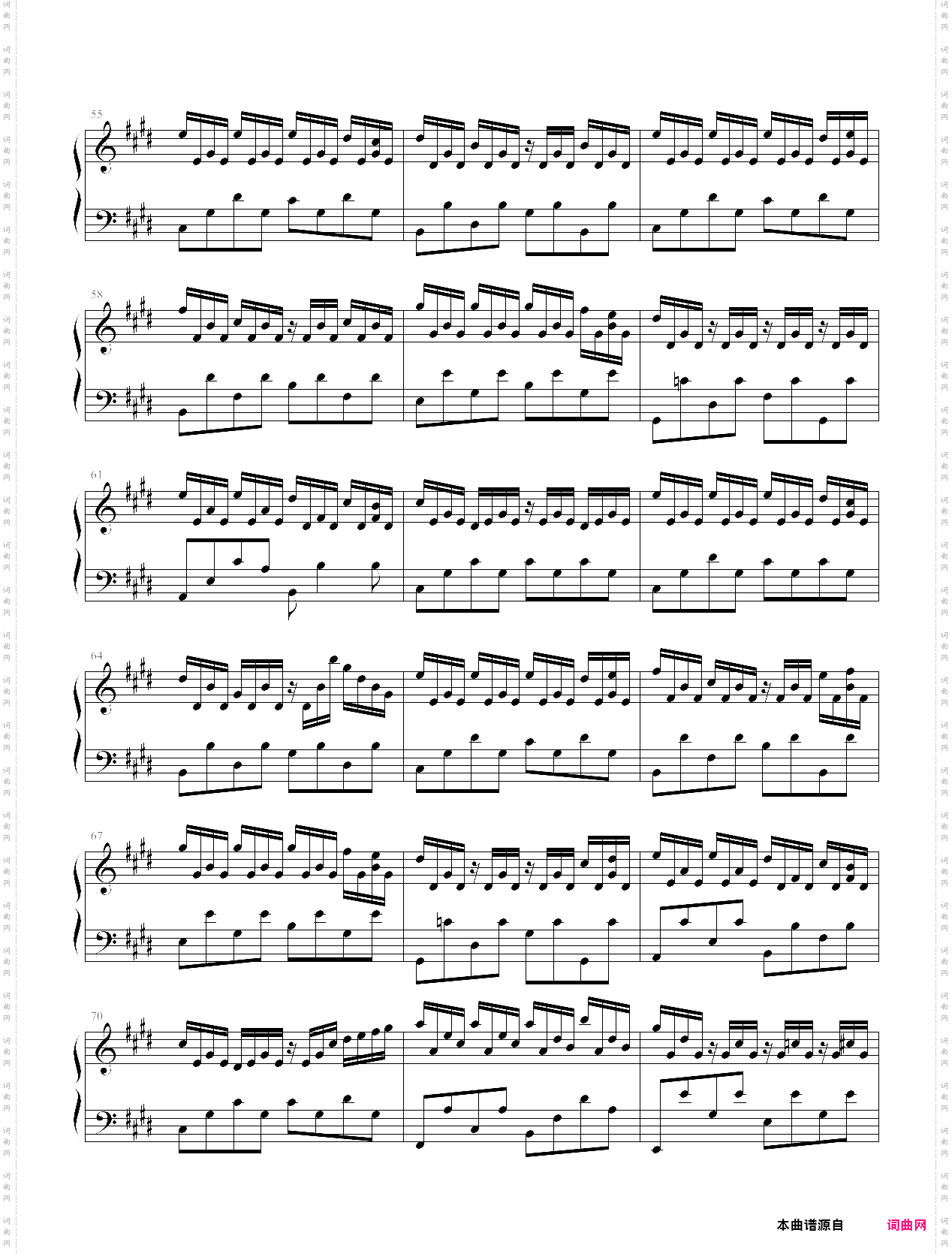 守候林海《猫》