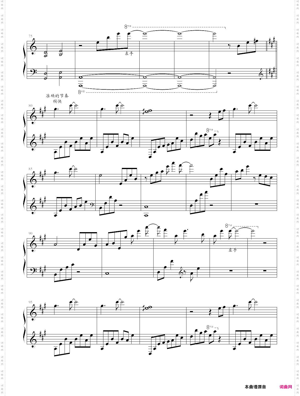 七彩林海《月光边境》