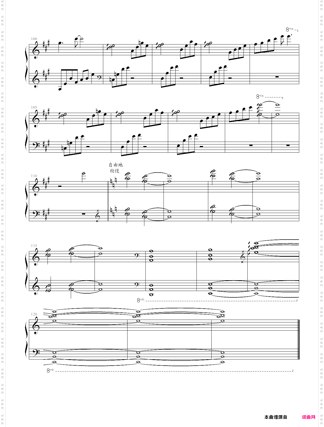 七彩林海《月光边境》