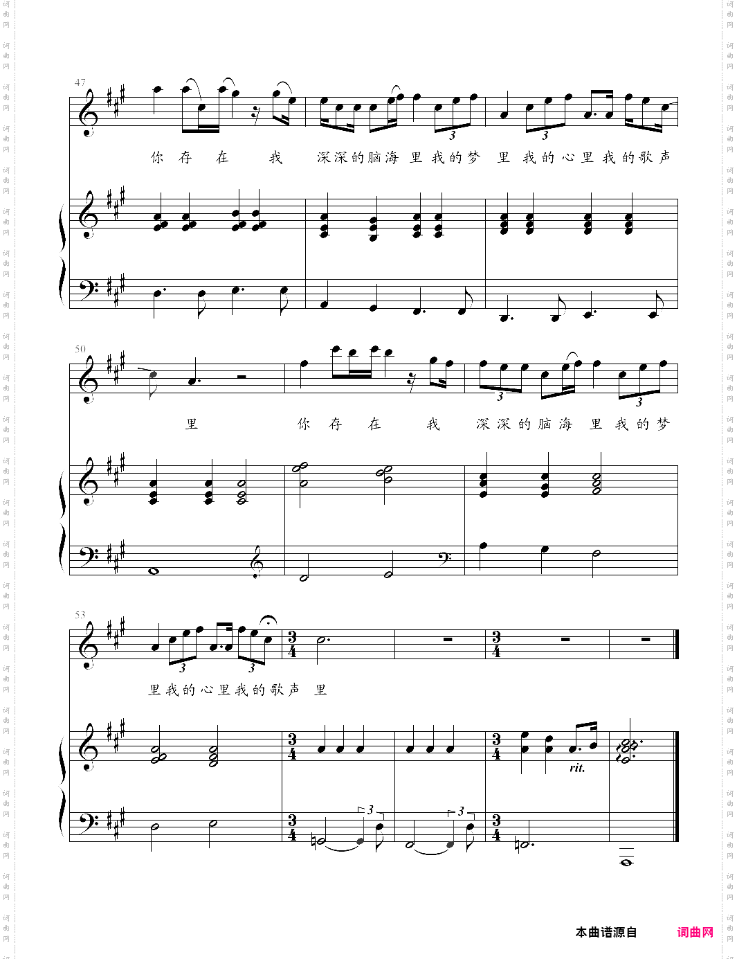 我的歌声里弹唱版