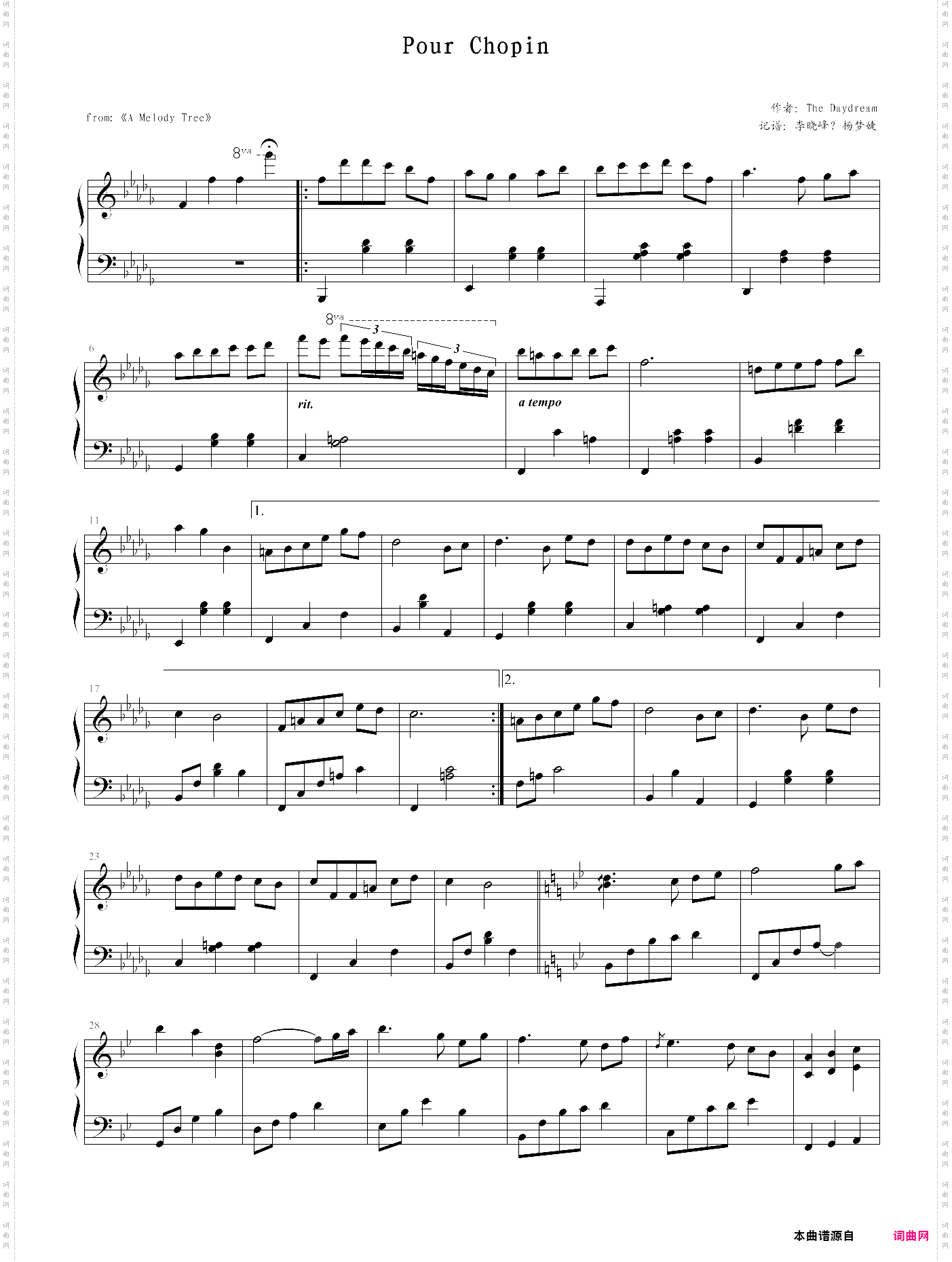 pour chopinthe daydream·白日梦 选自白日梦3《一棵开花的树》