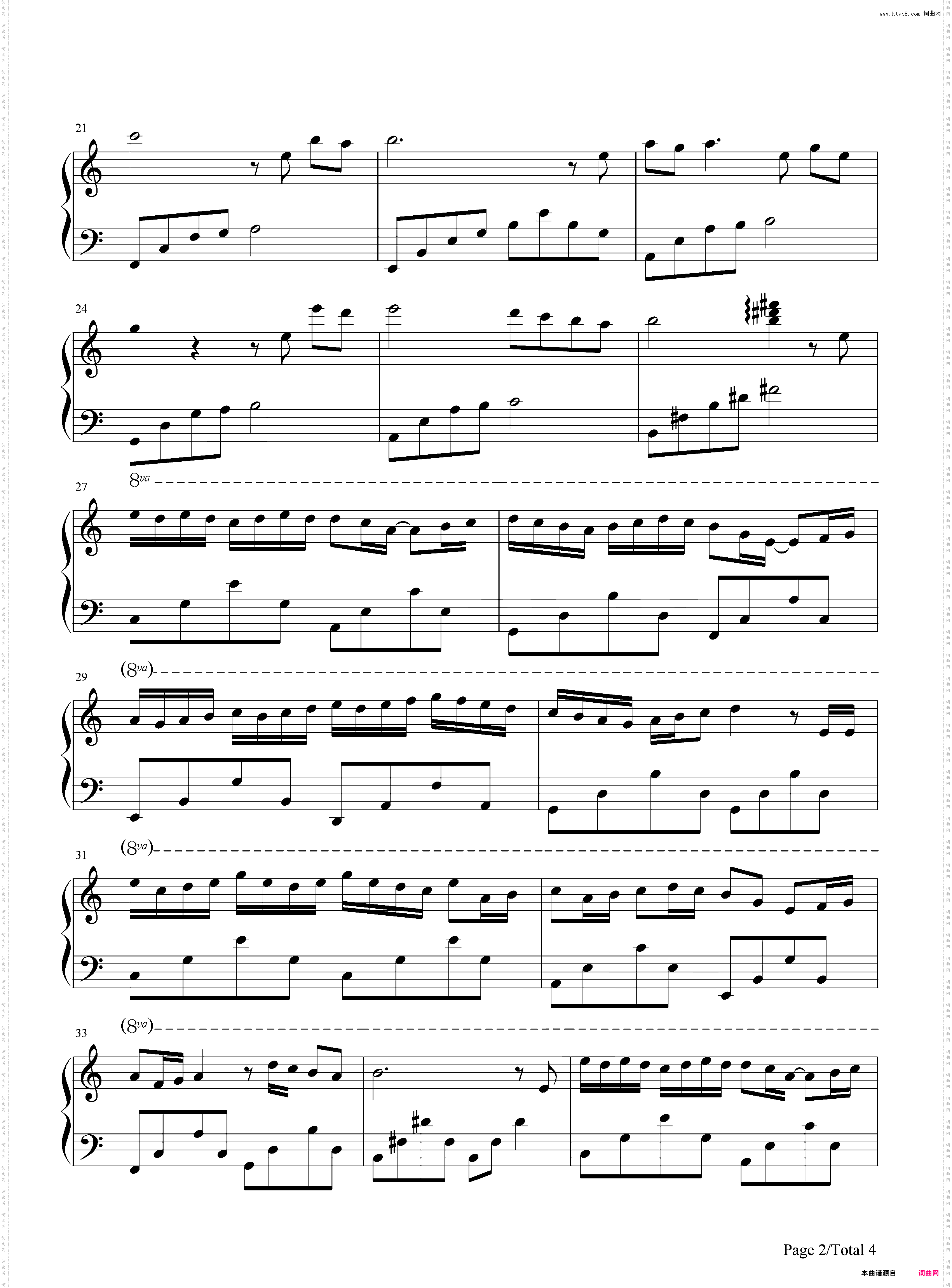 风中的蒲公英-张宇桦