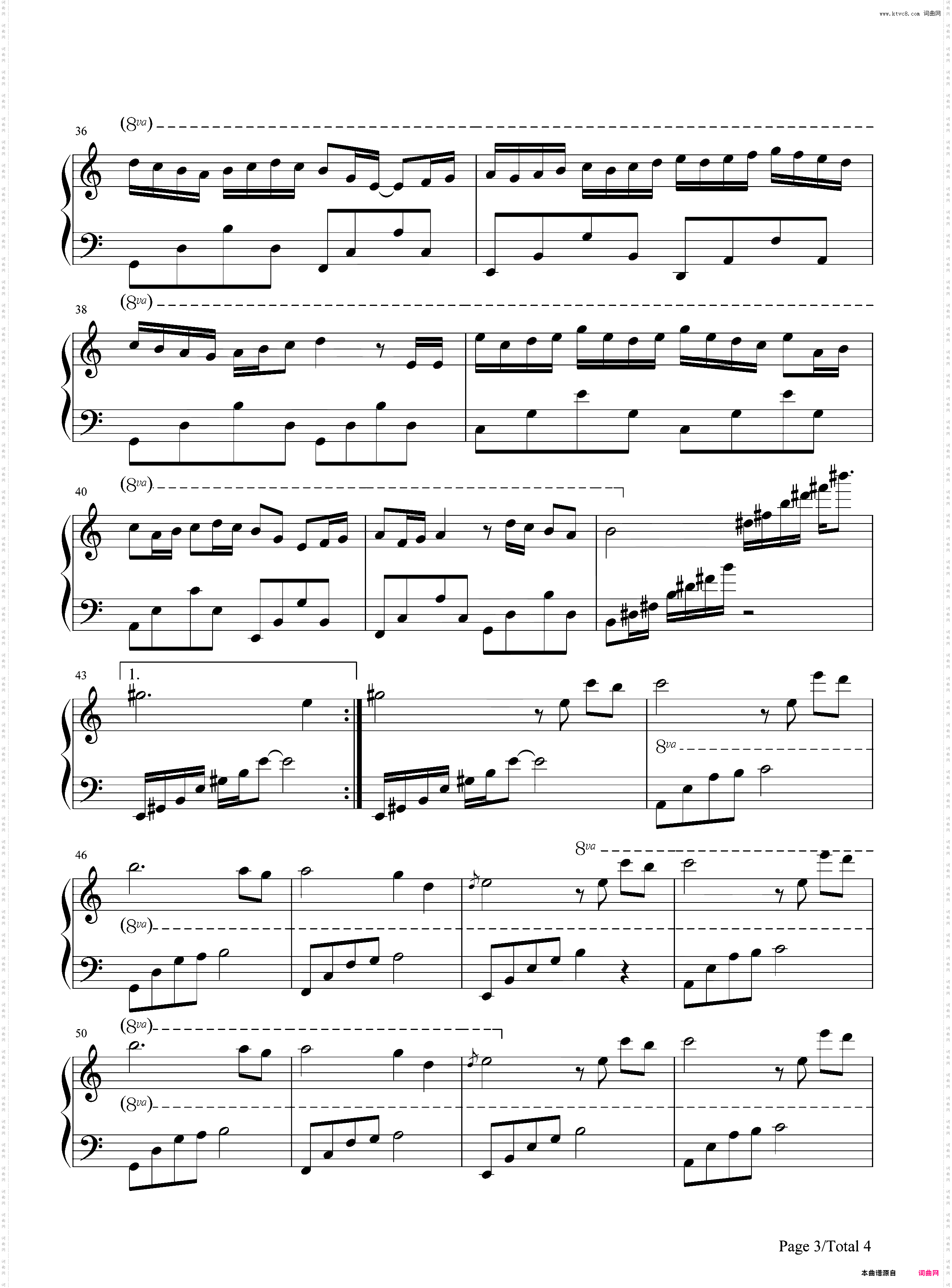 风中的蒲公英-张宇桦