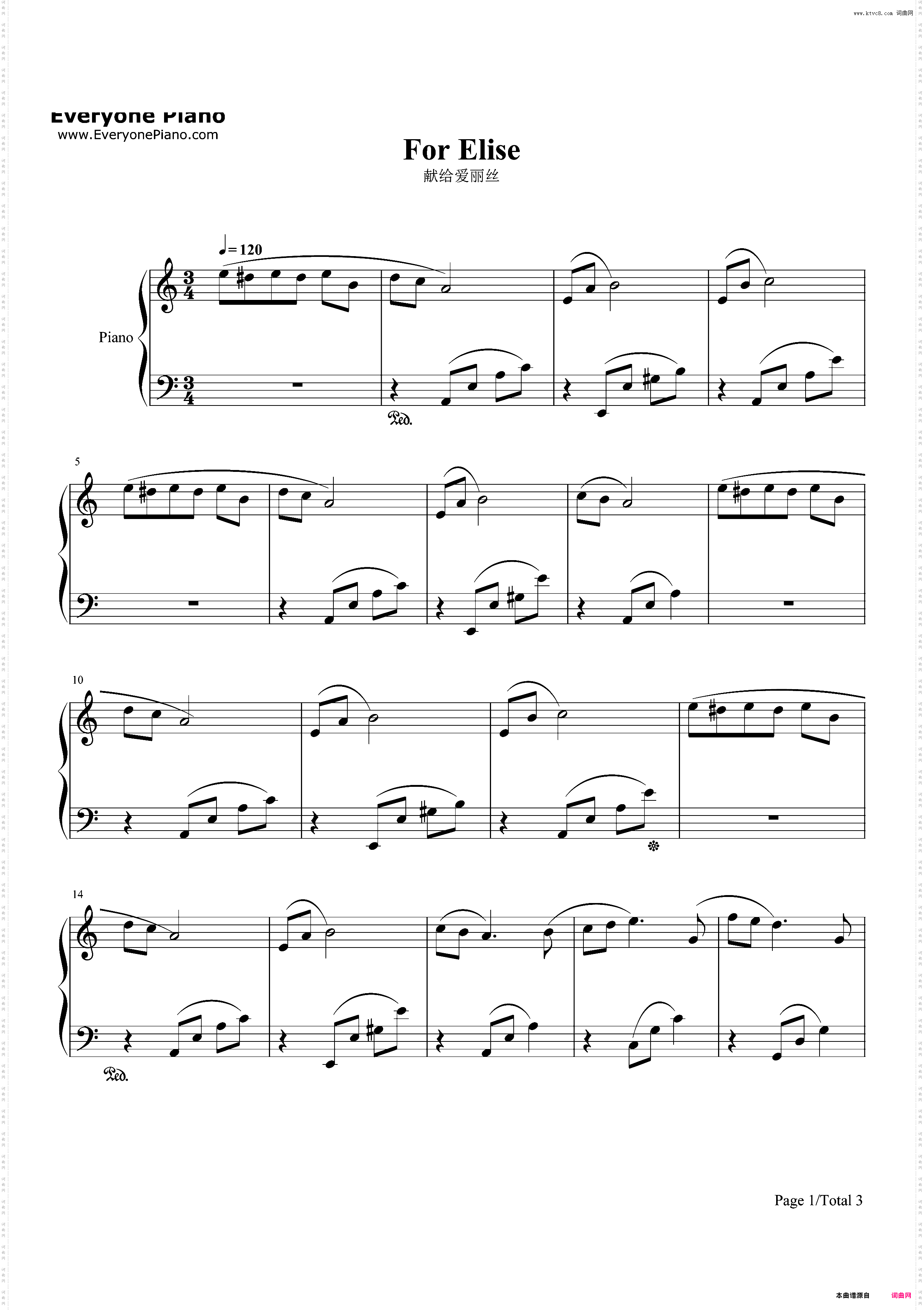 献给爱丽丝-For Elise