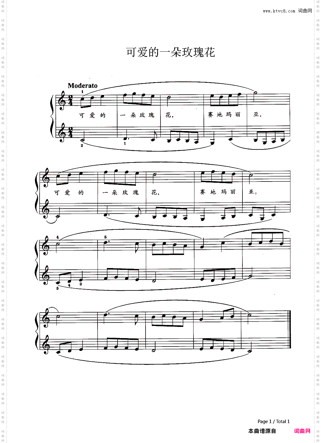 可爱的一朵玫瑰花