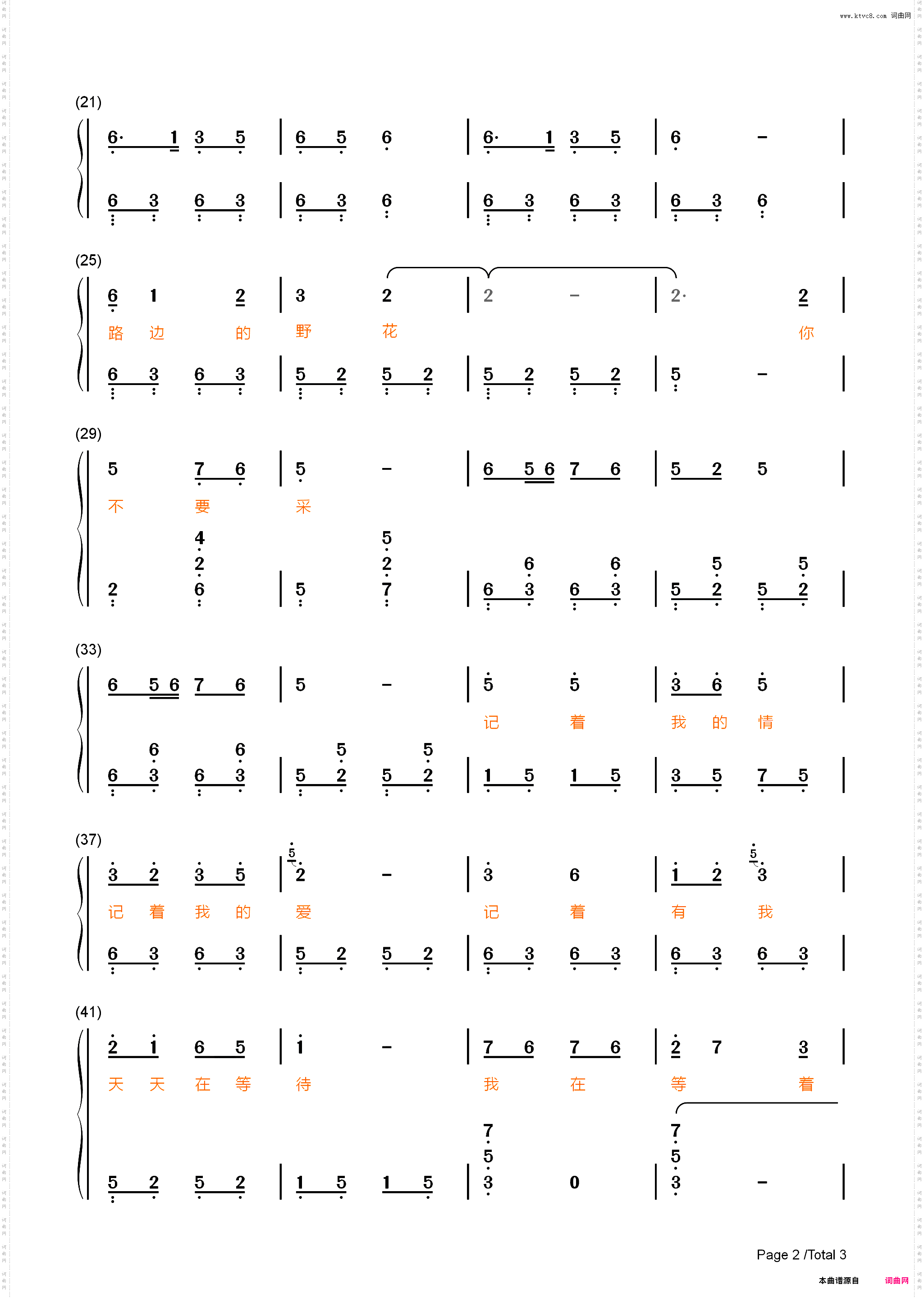 路边的野花不要采-简单版