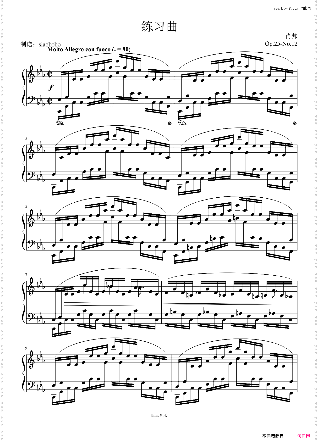 Etude Op· 25 No· 12——肖邦练习曲 大海