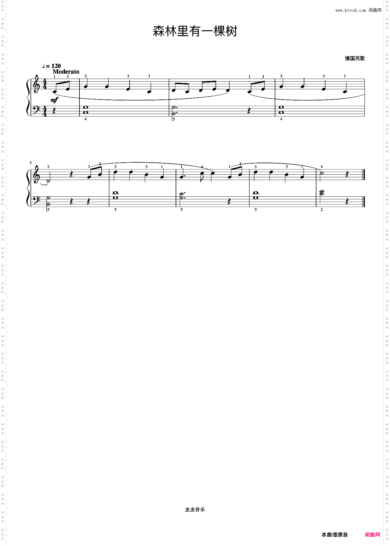 森林里有一棵树