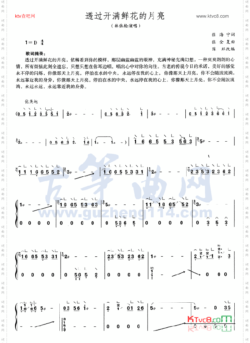 透过开满鲜花的地方