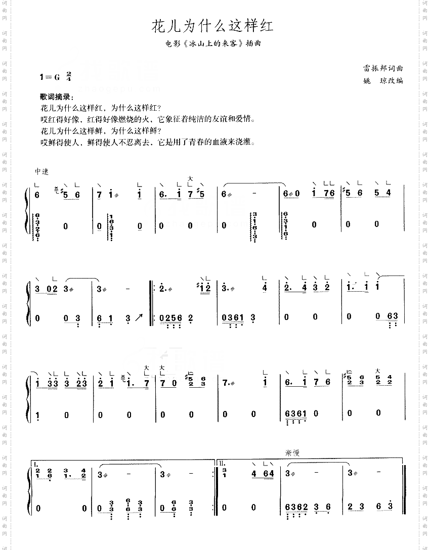 花儿为什么这样红