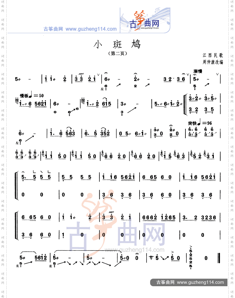 小斑鸠