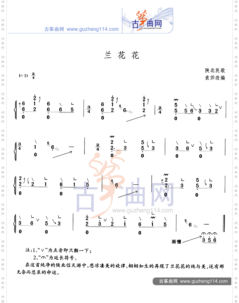 兰花花