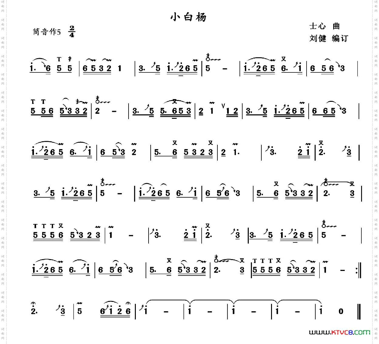 小白杨