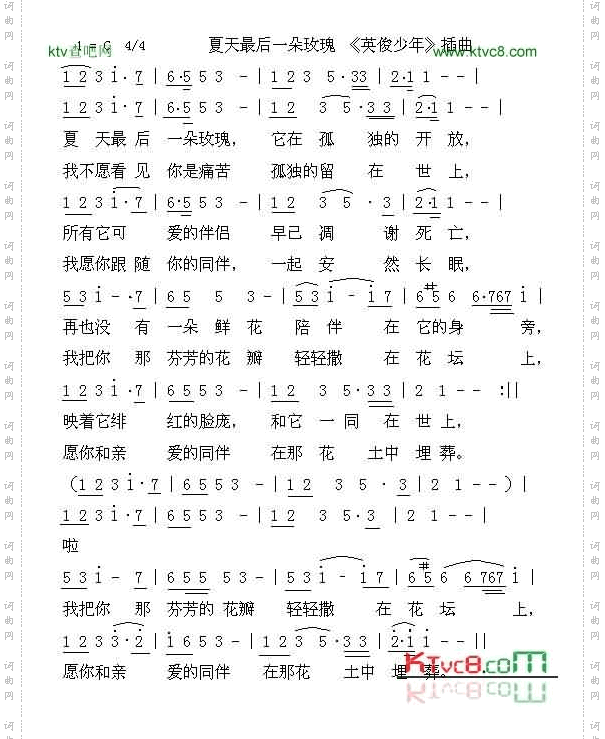 夏天最后一朵玫瑰