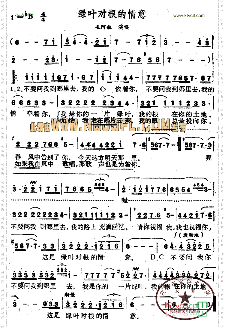 绿叶对根的情意