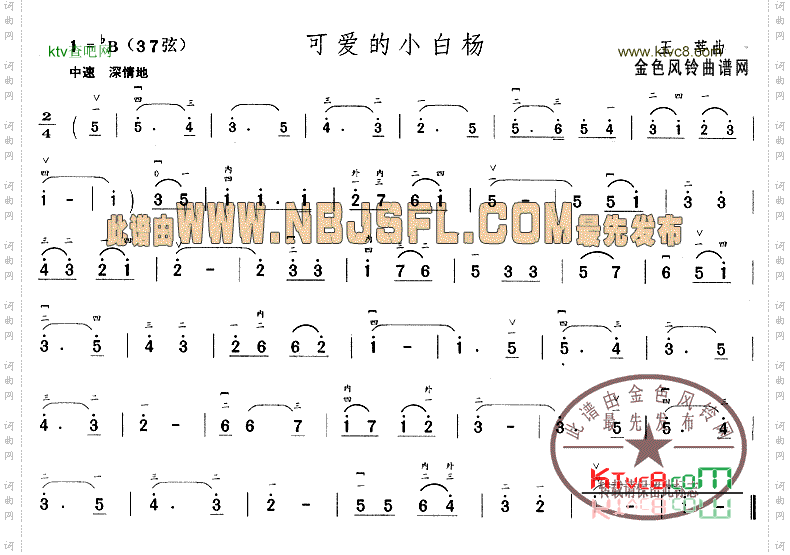 可爱的小白杨