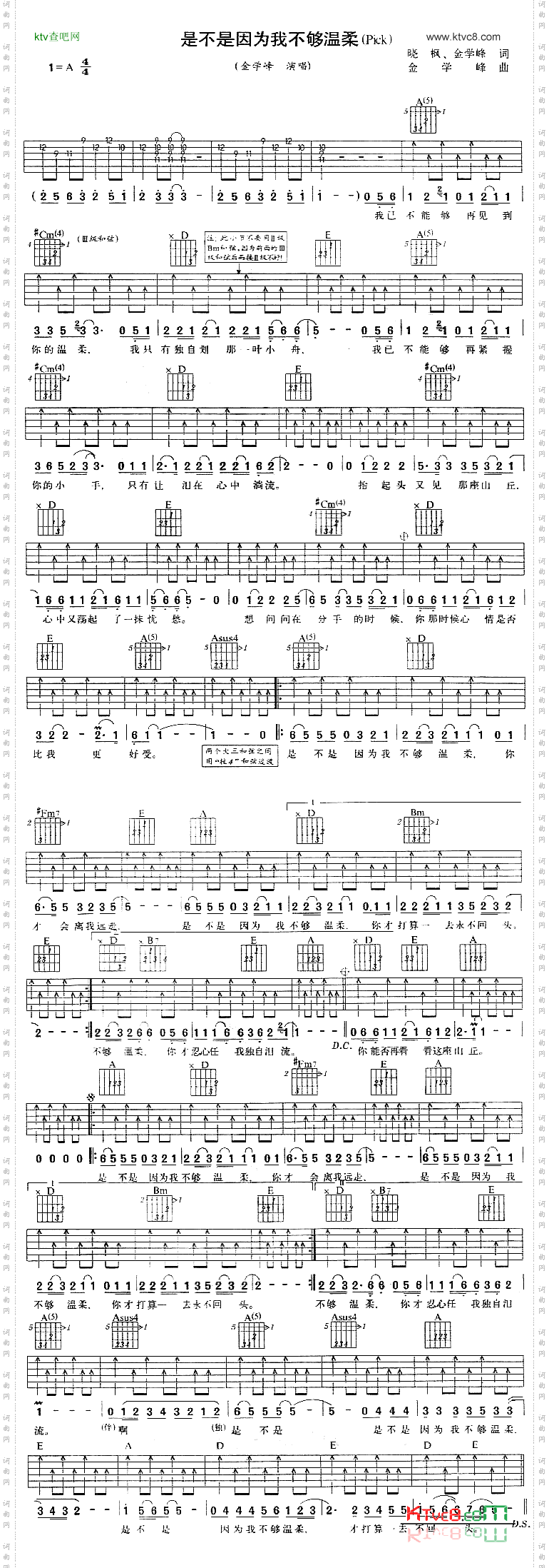 是不是因为我不够温柔