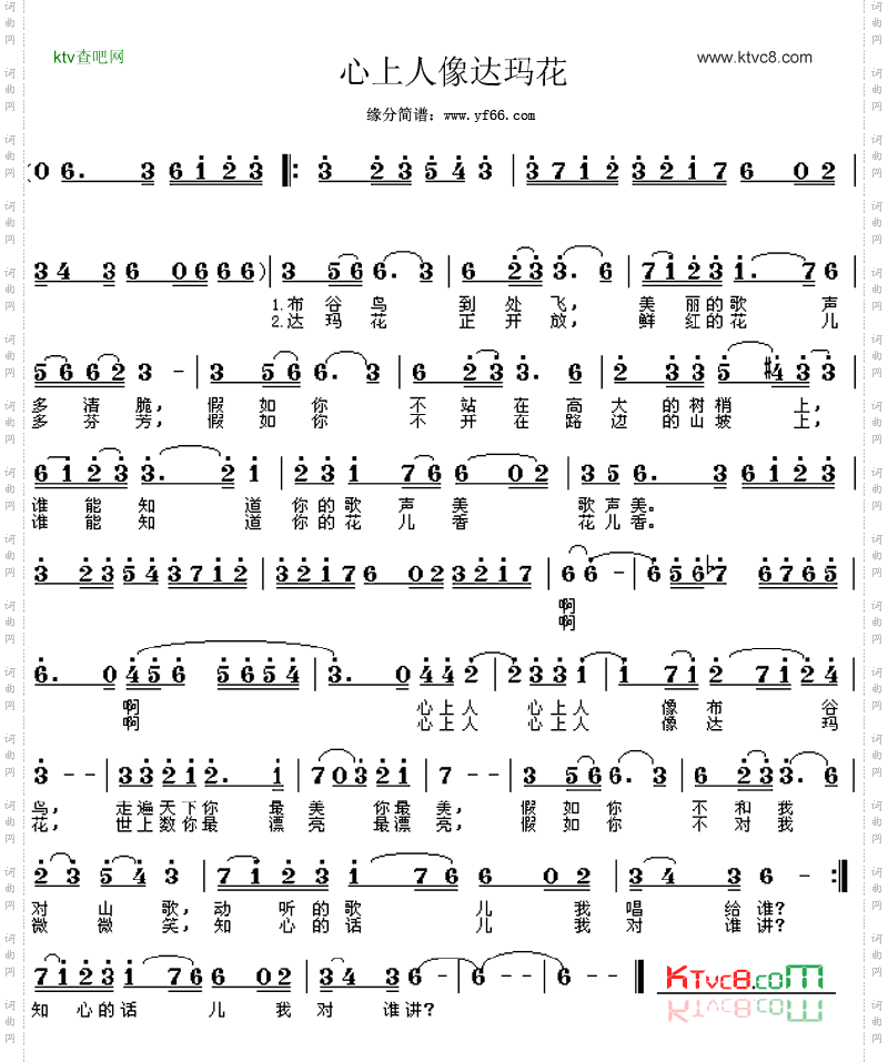 心上人像达玛花