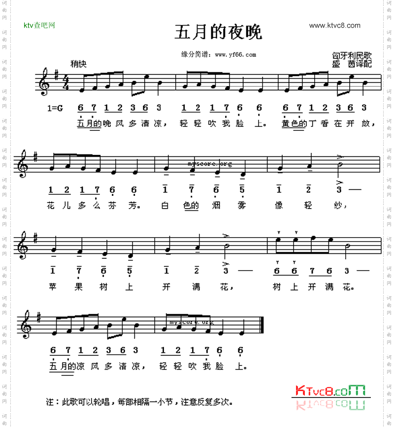 五月的夜晚