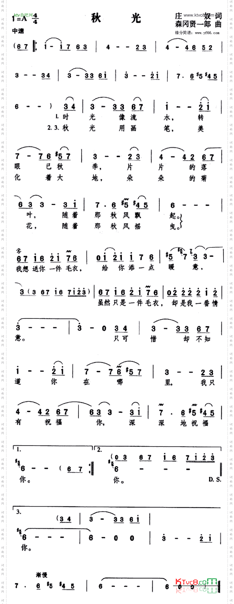 秋光