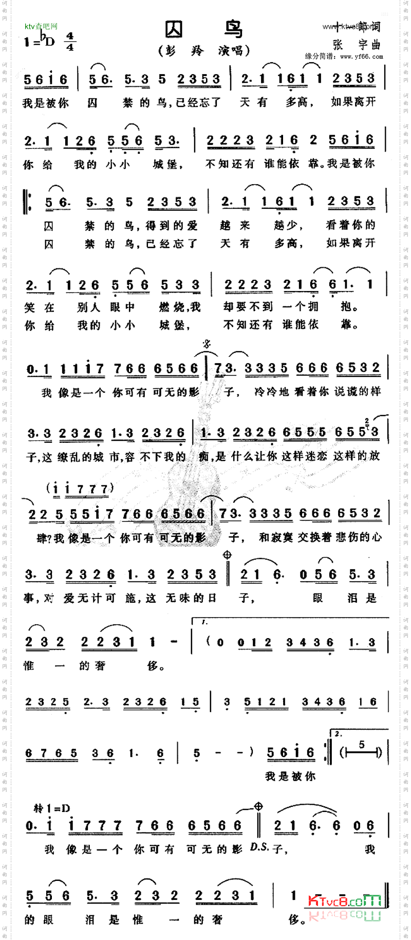囚鸟