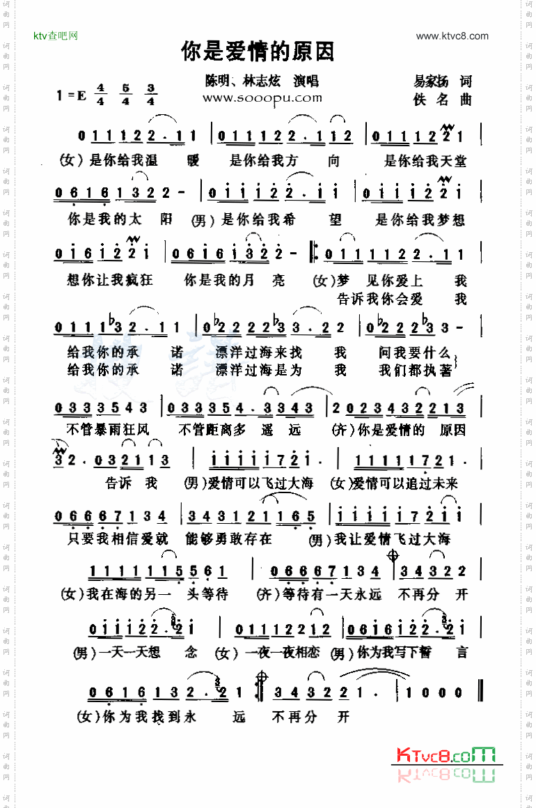 你是爱情的原因