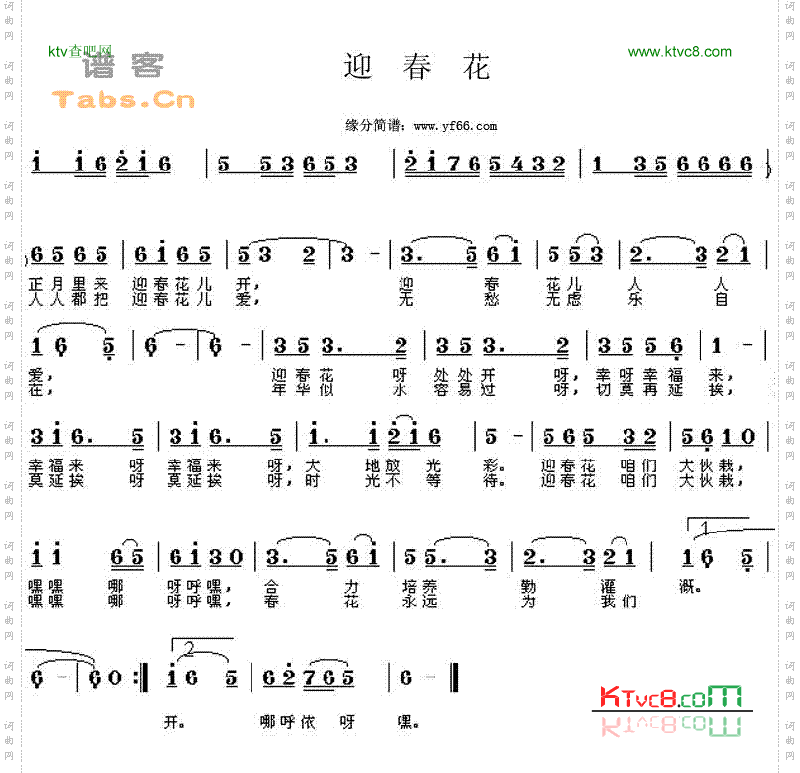 迎春花