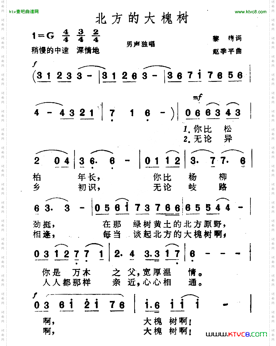 北方的大槐树