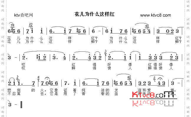花儿为什么这样红