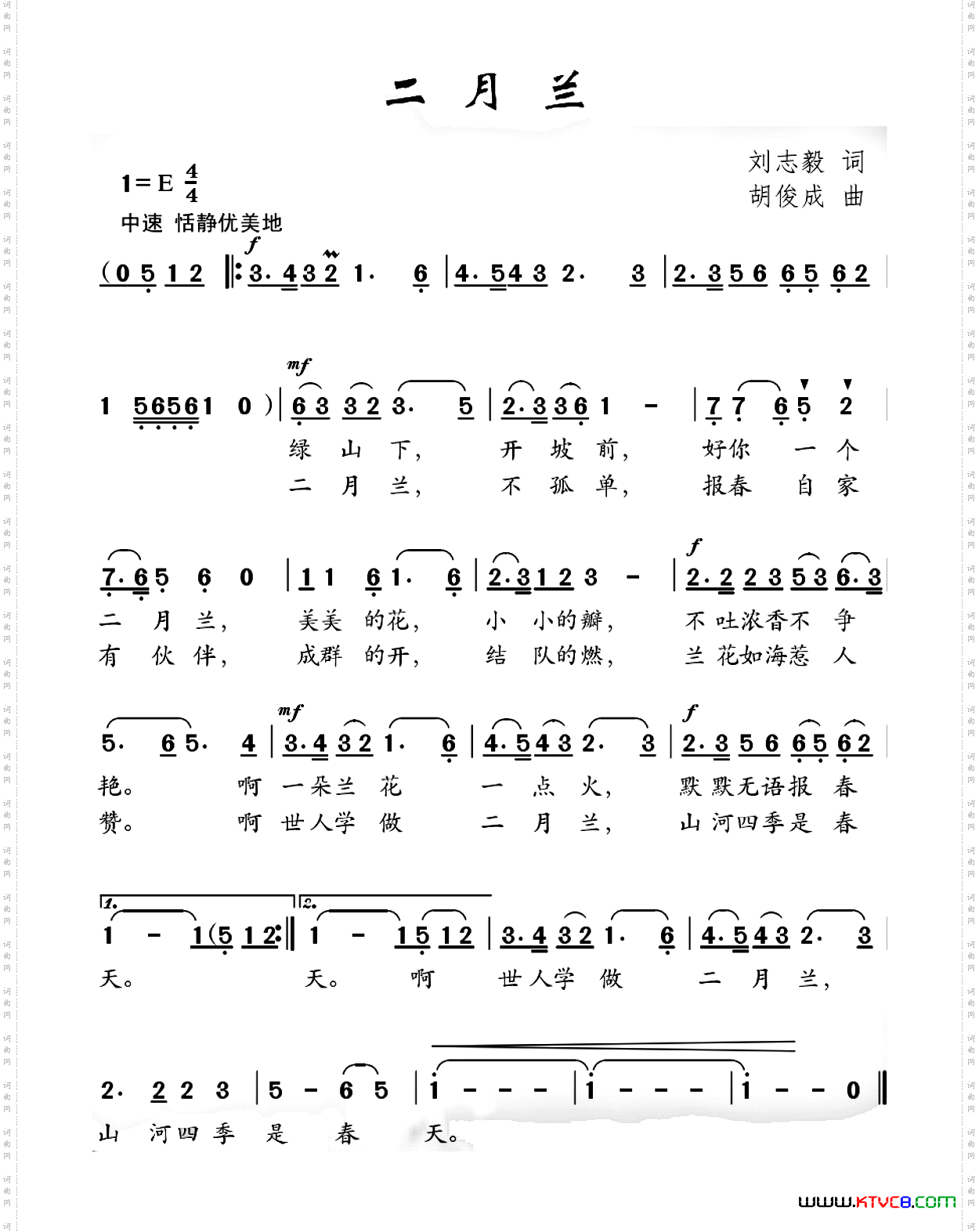二月兰刘志毅词胡俊成曲_二月兰刘志毅词 胡俊成曲