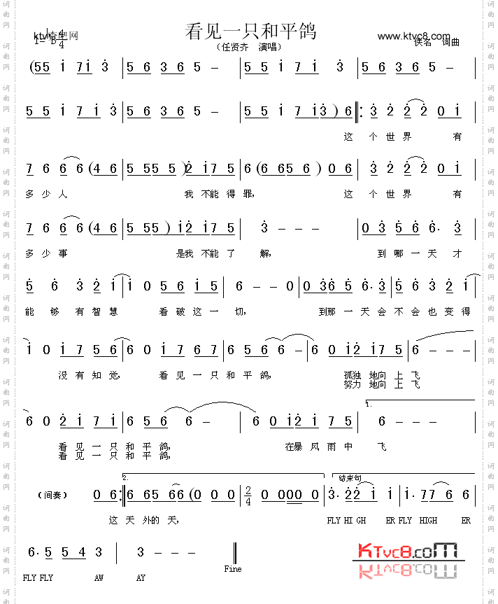 看见一只和平鸽