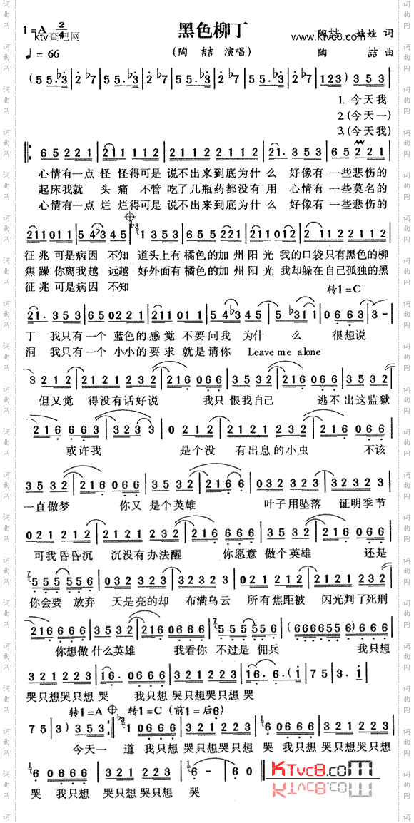 黑色柳丁