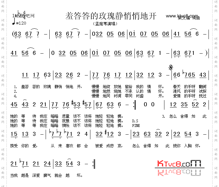 羞答答的玫瑰静悄悄地开