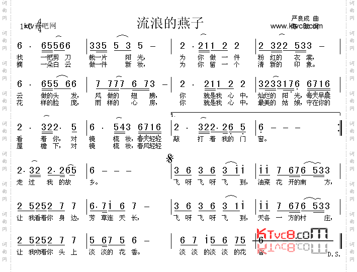 流浪的燕子