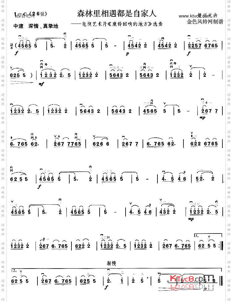 森林里相遇都是自家人《鹿铃回响的地方》选曲