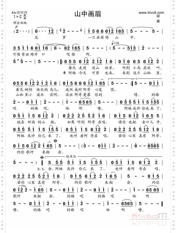 山中画眉