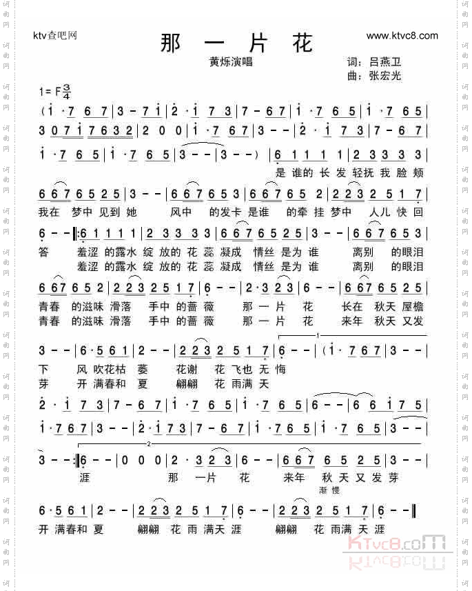 那一片花