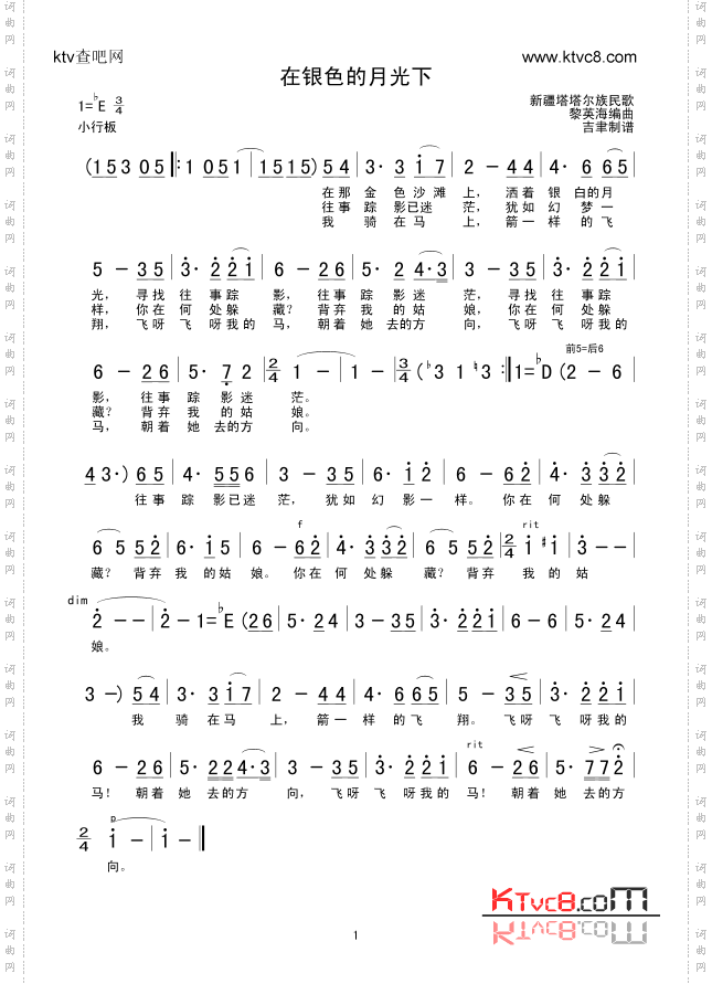在银色的月光下